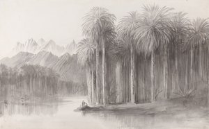 Wady Feiran, péninsule du mont Sinaï - Edward Lear